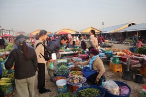 IMG_6884